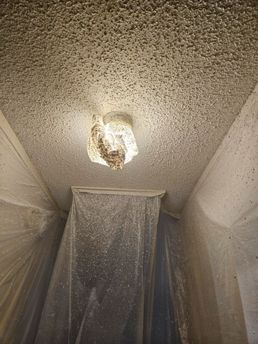 popcorn ceiling removal c